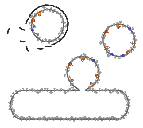 Endosomes come together.