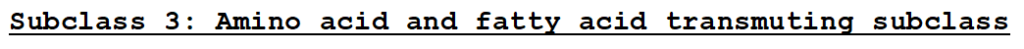 Subclass 3: Amino acid and Fatty acid transmuting subclass