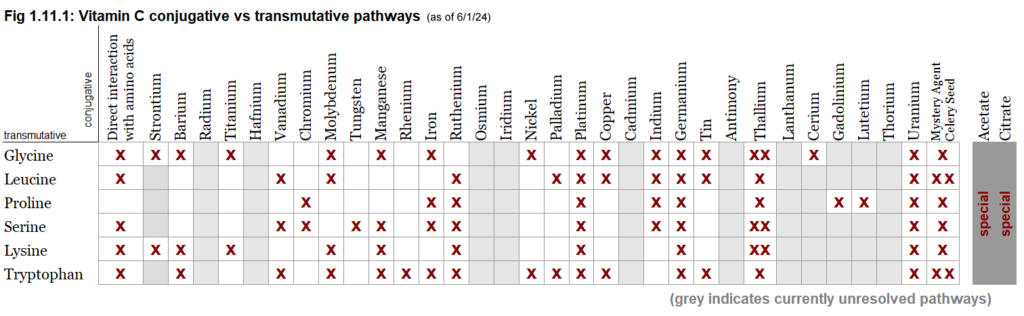 Vitamin C conjugative vs transmutative pathways