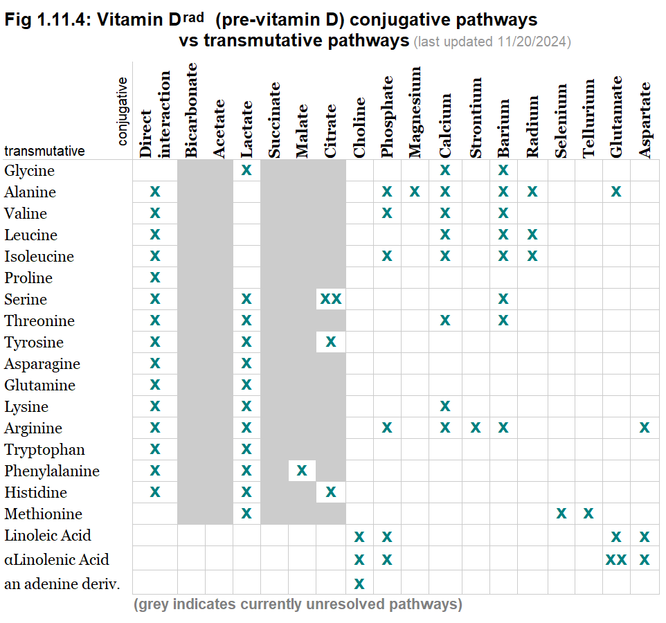 Vitamin D-radiative conjugative vs transmutative pathways